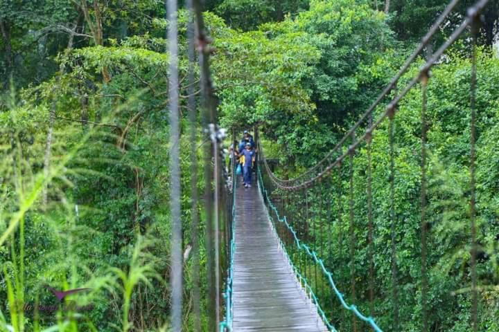 Ella Jungle Resort Esterno foto