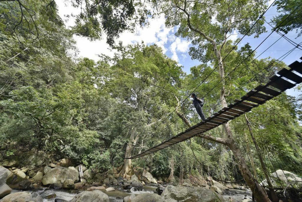 Ella Jungle Resort Esterno foto